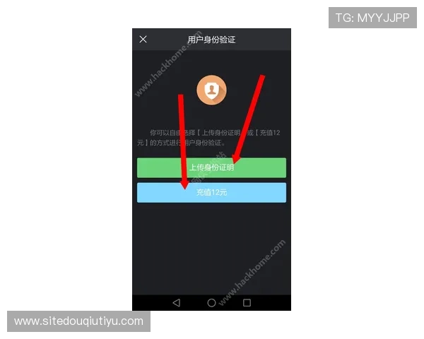 斗球直播电脑版下载安装常见问题解决方案，帮助你顺利使用软件
