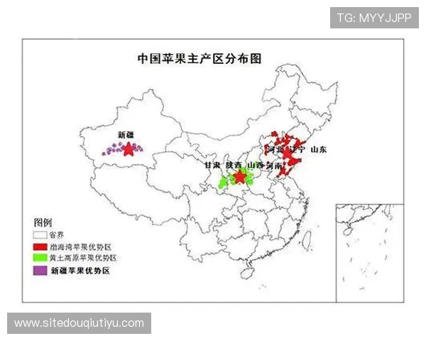 探究斗球的国家起源及其在全球范围内的发展现状